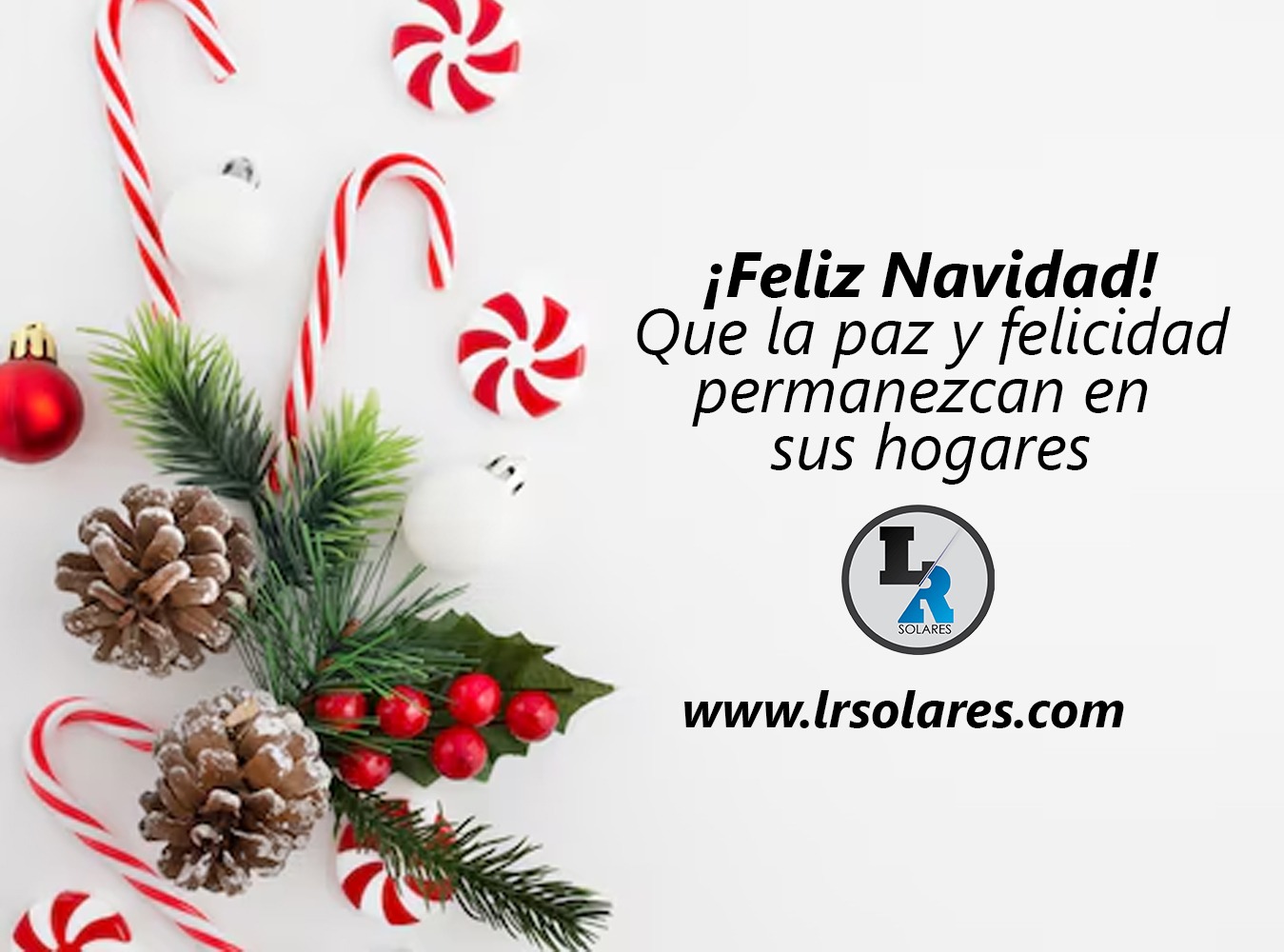 ¡Felices fiestas de fin de año!
